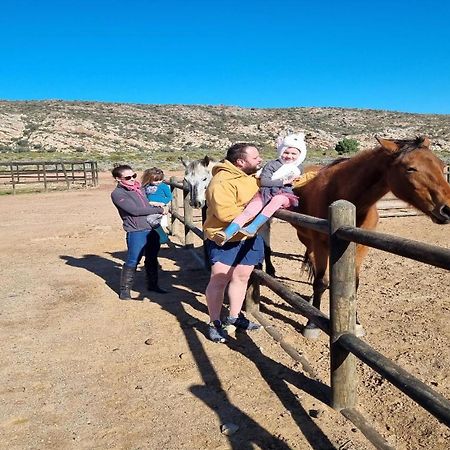 דירות Laingsburg Rooilande Guest Farm מראה חיצוני תמונה