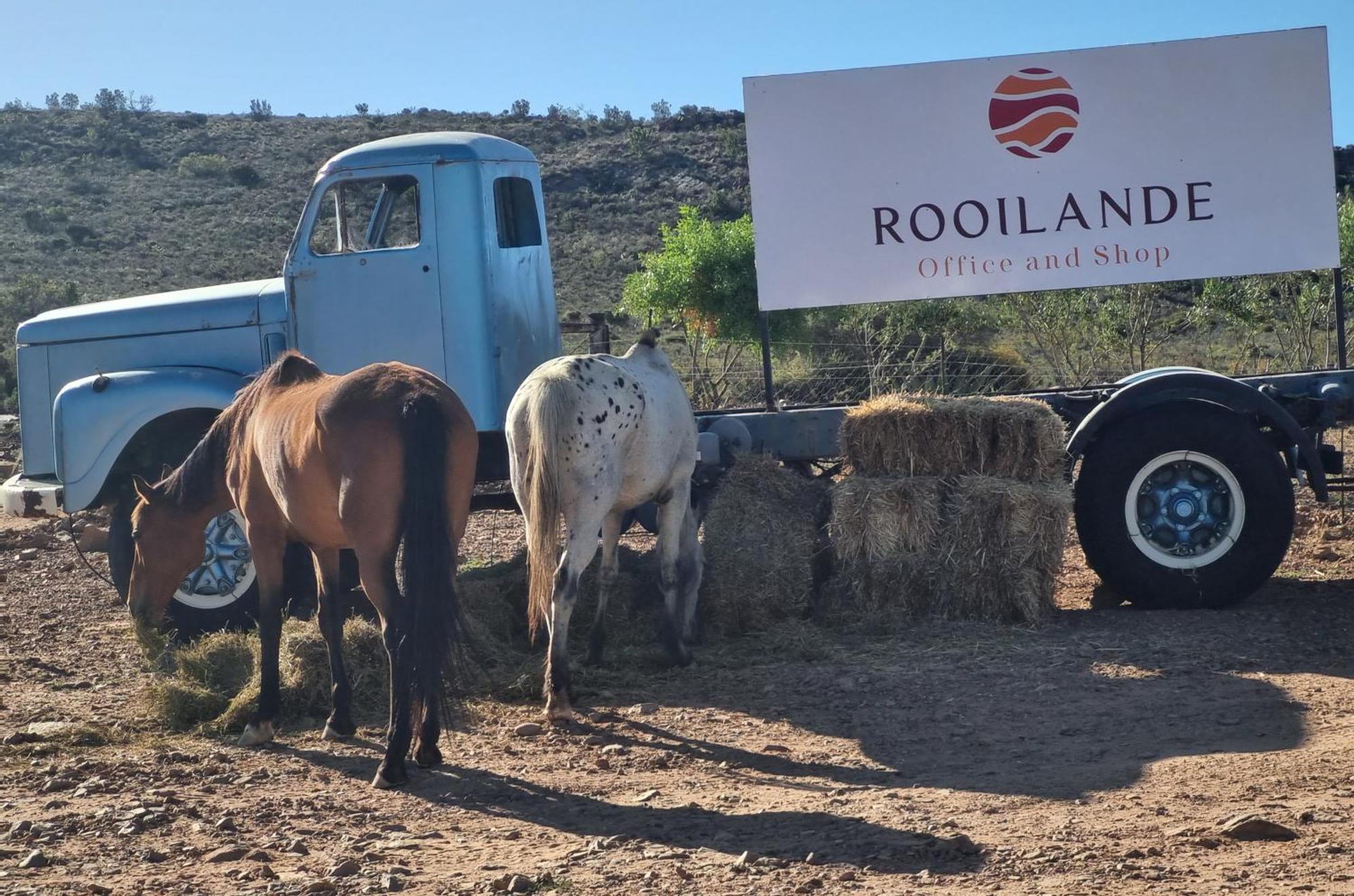דירות Laingsburg Rooilande Guest Farm מראה חיצוני תמונה