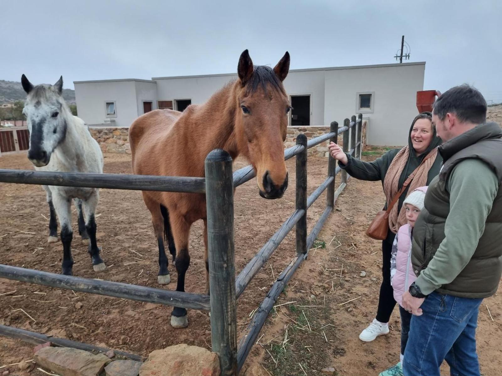 דירות Laingsburg Rooilande Guest Farm מראה חיצוני תמונה